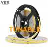 Reel 5 meters light strip COB TUNABLE