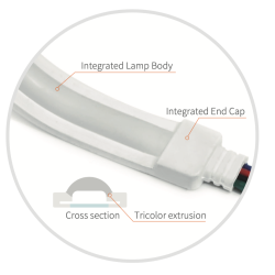 Neon LED Flex - VBX Duna 12mm